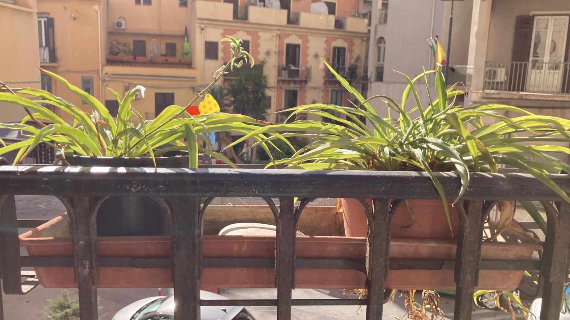 Casa Empedocle Apartment Palermo Luaran gambar